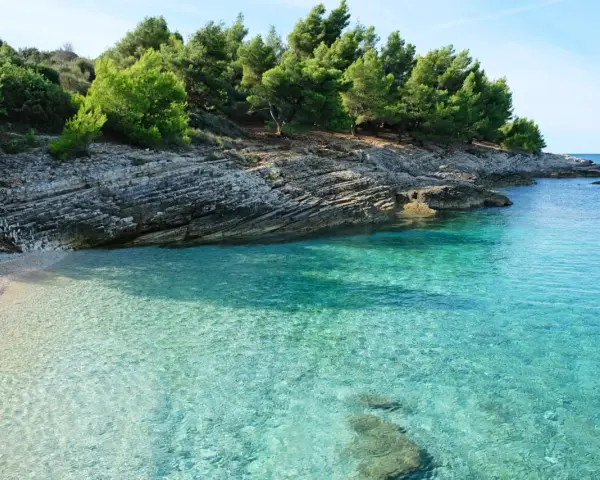 Kamienista plaża i turkusowa woda w Medulin Chorwacja. Skaliste wybrzeże porośnięte sosnami.