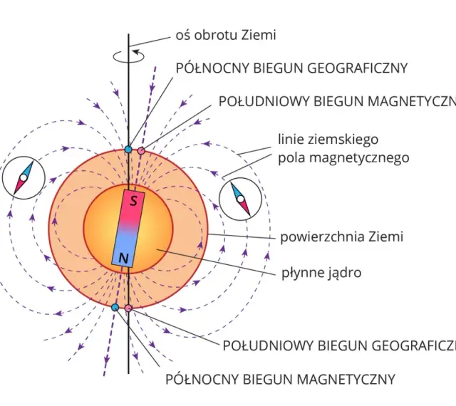Ilustracja pokazuje, jak działa kompas: igła magnetyczna ustawia się wzdłuż linii pola magnetycznego Ziemi, wskazując biegun północny.