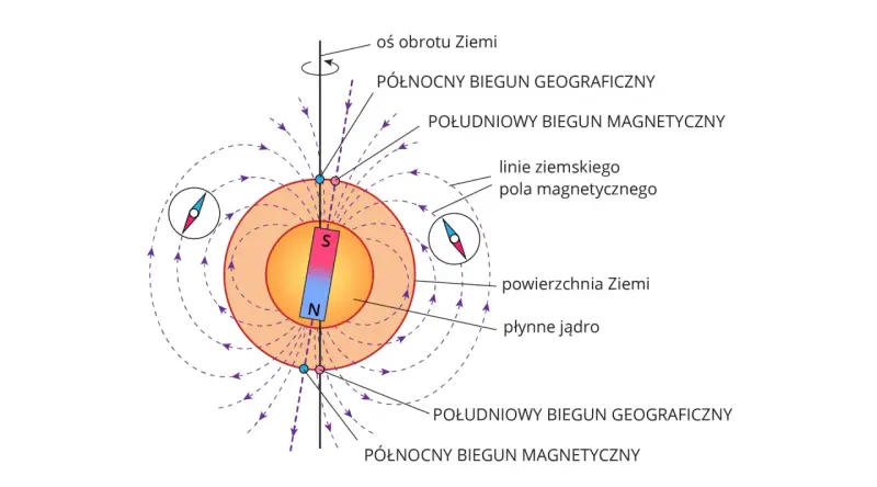Ilustracja pokazuje, jak działa kompas: igła magnetyczna ustawia się wzdłuż linii pola magnetycznego Ziemi, wskazując biegun północny.